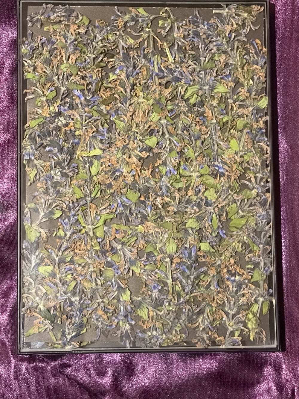 Purple Wildflowers put in a picture frame. Wall Art Decor. Ready to hang or plac